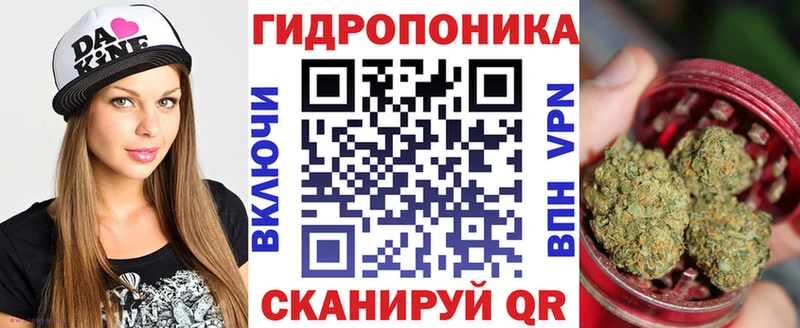 Каннабис сатива  ОМГ ОМГ ссылки  Зеленокумск  сколько стоит 
